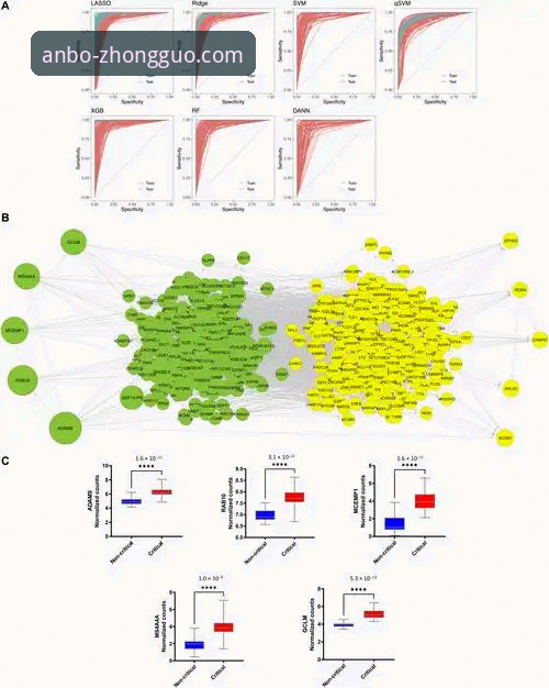 安博体育官网登录页面下载难题 vs. 行业技术趋势：问题根源与解决路径分析